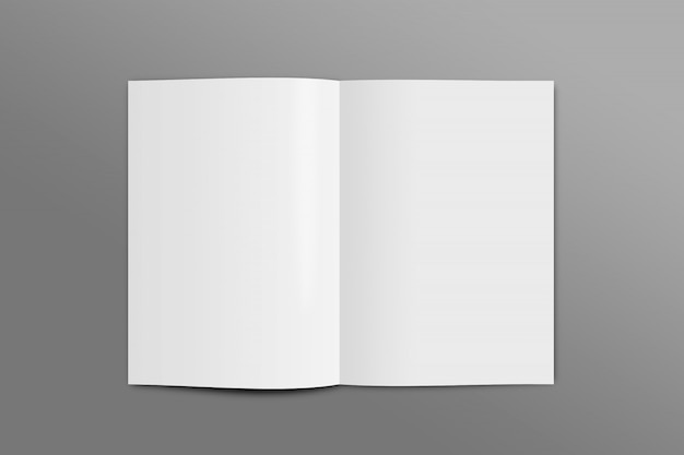 Open Page mockup A4 Size