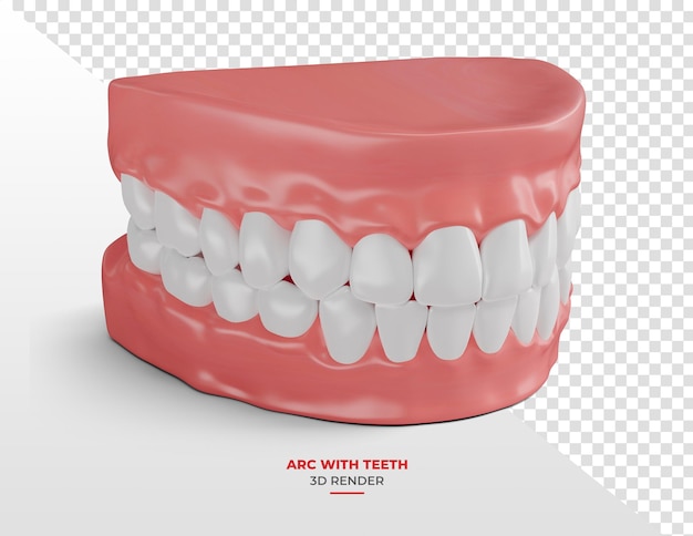 Arco dentale aperto con lingua in rendering 3d con sfondo trasparente