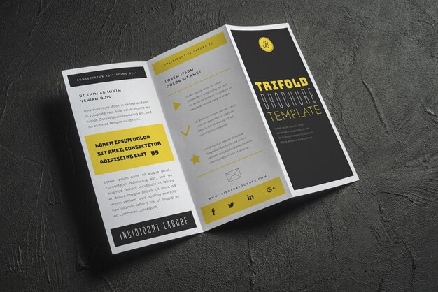 Open trifold brochure mockup