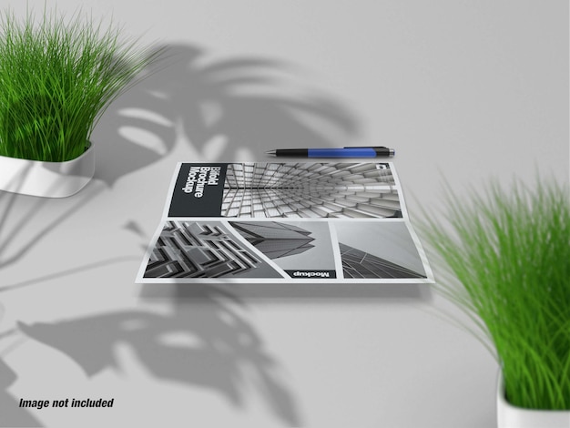 Opened bifold brochure with plant on table 3d mockup