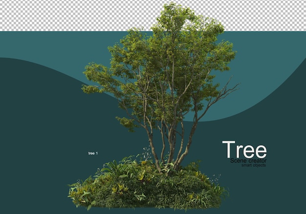 Opstelling van verschillende bomen en grassen