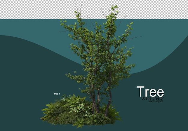 Opstelling van verschillende bomen en grassen