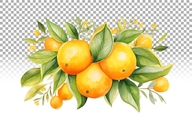 PSD オレンジフルーツの水彩画 柑橘類の結婚式と健康的な食品デザイン