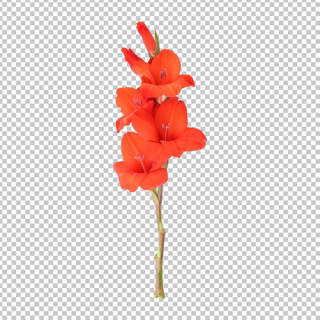 PSD オレンジ色のグラジオラスの花の茎の分離レンダリング