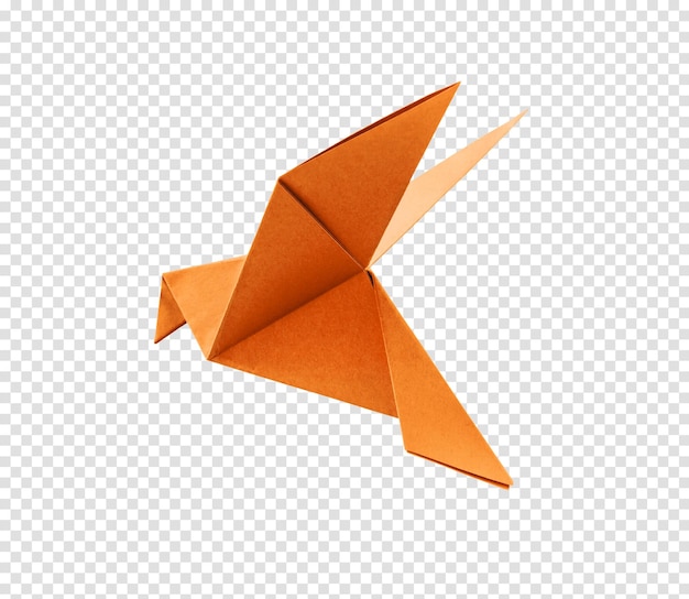 Orange paper dove origami isolated on a blank white background