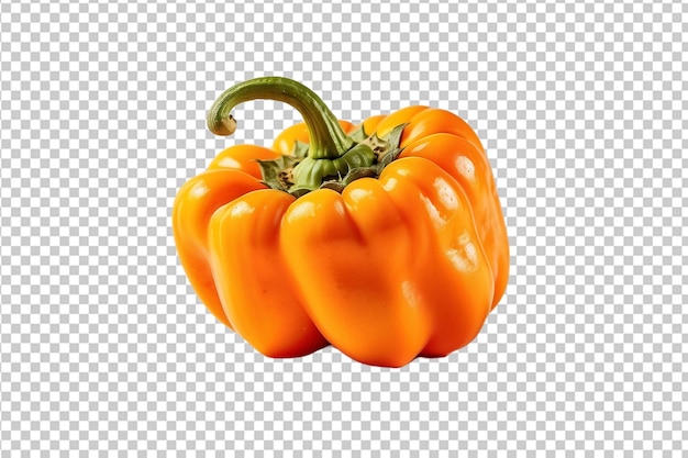 Orange pepper on alpha layer