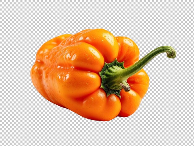 Orange pepper on alpha layer