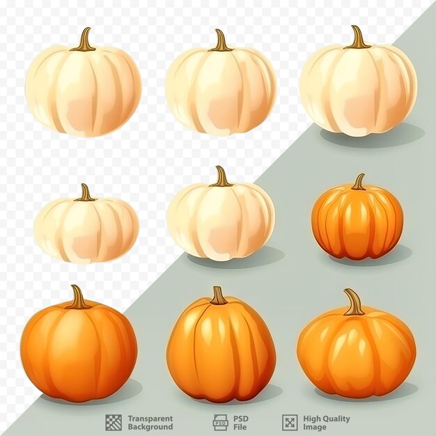 PSD orange and white halloween pumpkins isolated on transparent background