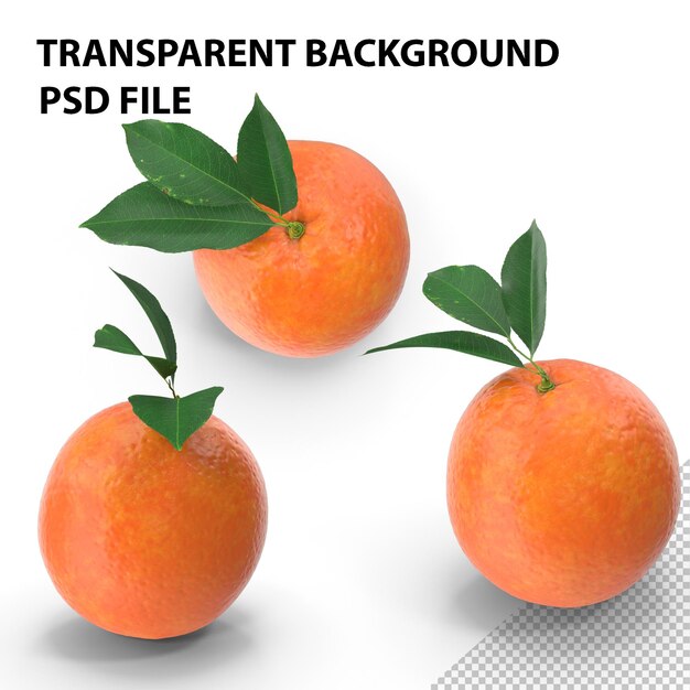 PSD arancione con foglie png