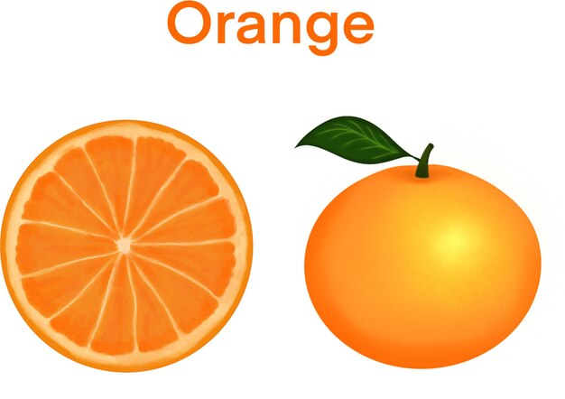 Oranje fruitillustratie