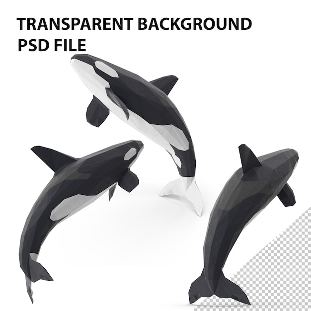 PSD orca balena png