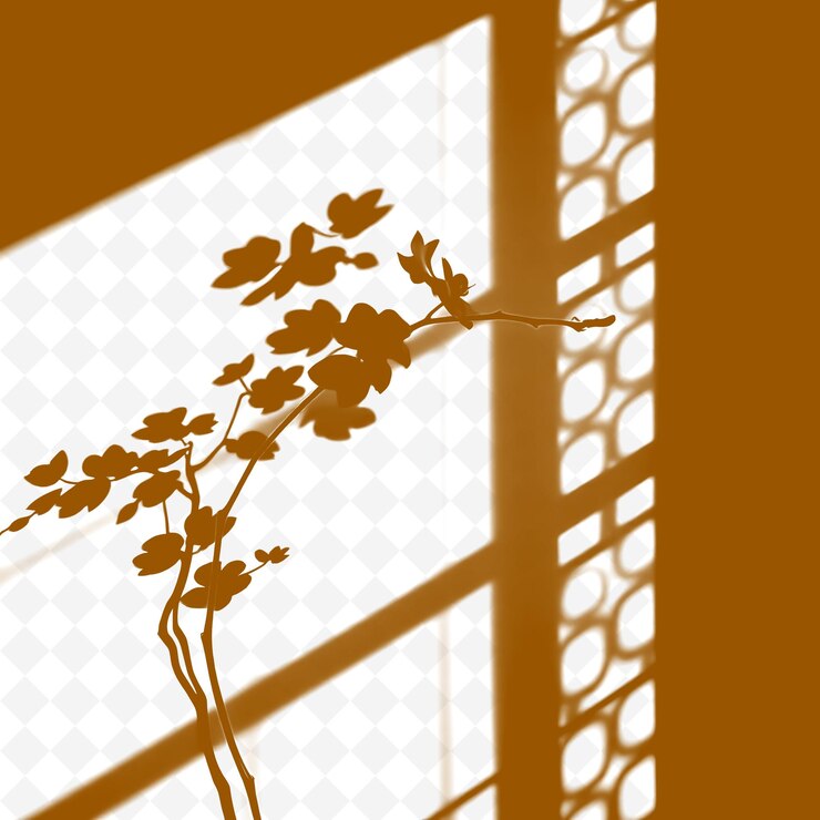 PSD orchid petals and lattice window shadows casting soft floral sha png shadow cast illustrationsp