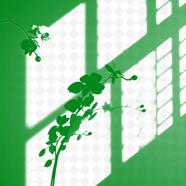 PSD orchid petals and lattice window shadows casting soft floral sha png shadow cast illustrationsp