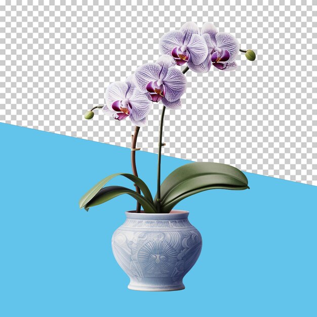 Orchid pot