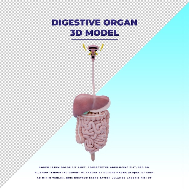 PSD organ trawienny