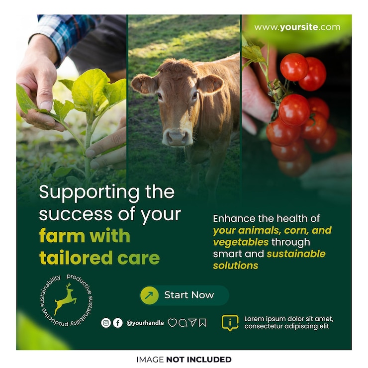 PSD organic farming service social media instagram template psd