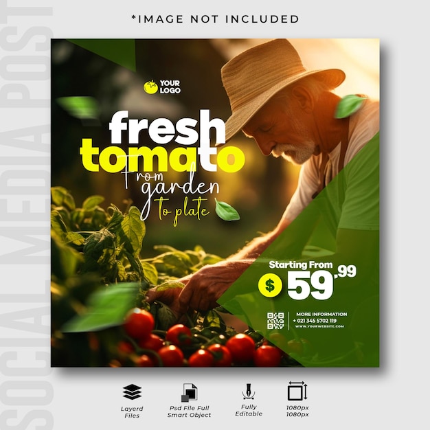 PSD organic fresh tomatoes instagram post template