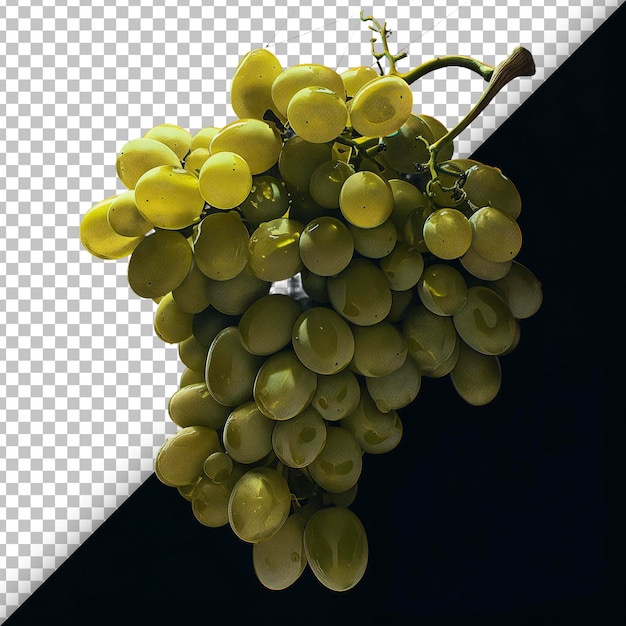 PSD Органические виноградные лозы, выделенные на прозрачном фоне
