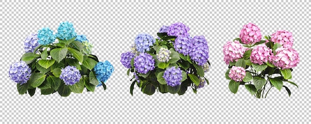 PSD ornamental romance bouquet flower realistic 3d rendering bundle set cut out backgrounds