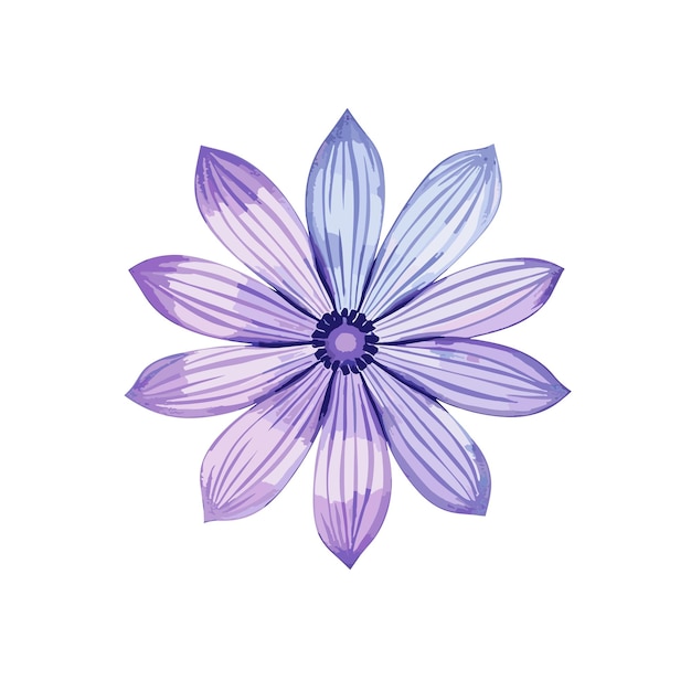 Osteospermum aquarel t-shirt ontwerp grafische illustratie aquarel png psd