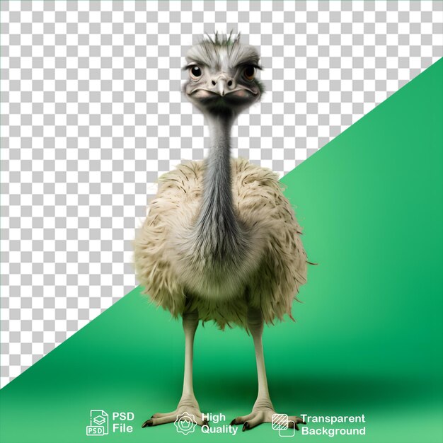 PSD ostrich isolated on transparent background or green include png file