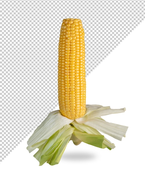 Otwarty uszy kukurydzy Mockup