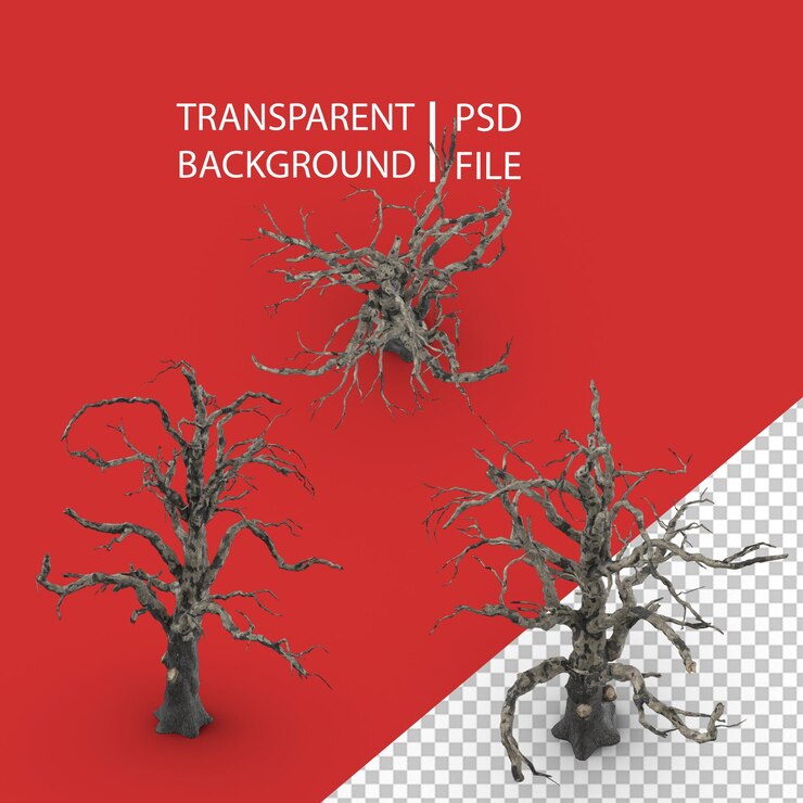 PSD oude dode boom png