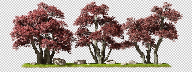 PSD overblijvend kastanjebruin blad bomen rij landschap geïsoleerd op transparante achtergrond 3d illustratie