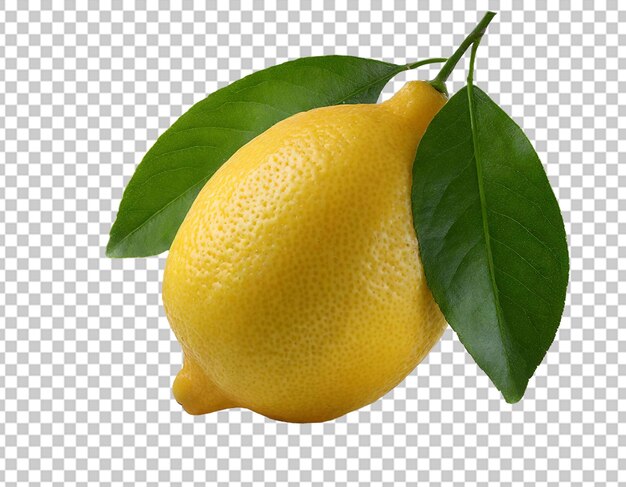 Owoce cytrynowe