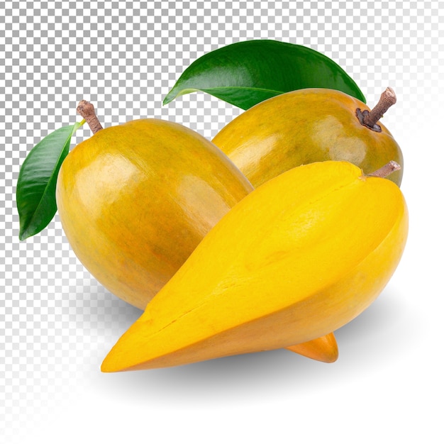 Owoce jajka, Canistel, żółty Sapote na białym tle