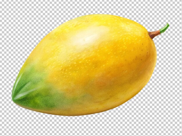 Owoce Mango