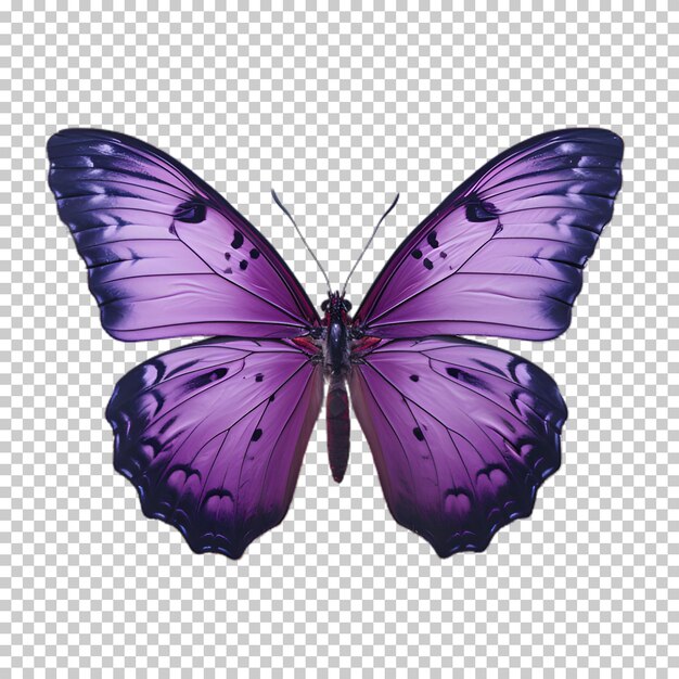 PSD paarse vlinder geïsoleerd op transparante achtergrond