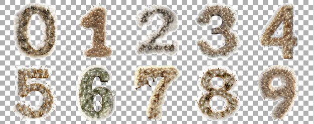 Pack 0 to 9 Numbers Dandelion Seeds Style set over Transparent Background for Modern Design Projects Creative Branding or Unique Typography Applications