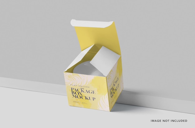 Package Box Mockup Flat Square