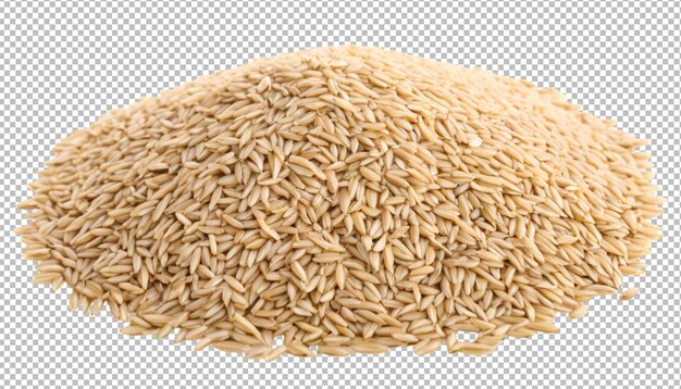 paddy rice swaying in the breeze