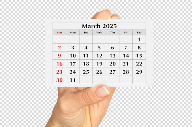 毎年恒例のカレンダーのページ 2025年3月 透明なPSDに隔離されています