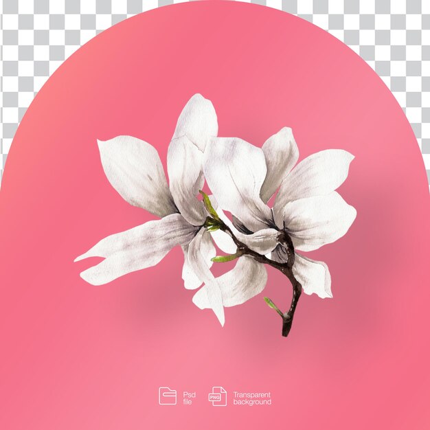 Painted flower transparent background