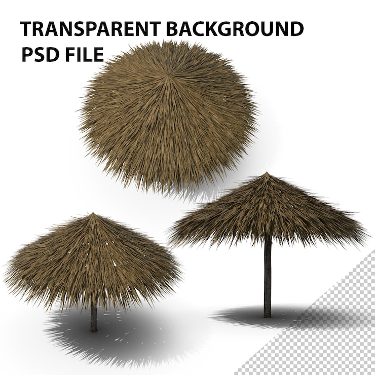 PSD palm beach umbrella png
