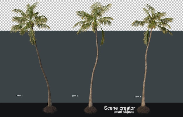 PSD palm and coconut trees of various sizes and shapes.