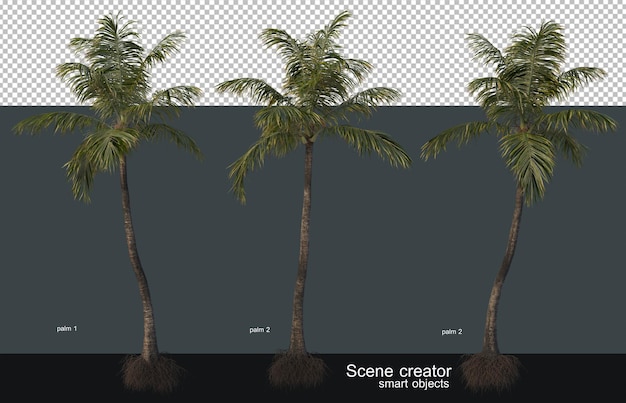 PSD palm and coconut trees of various sizes and shapes.