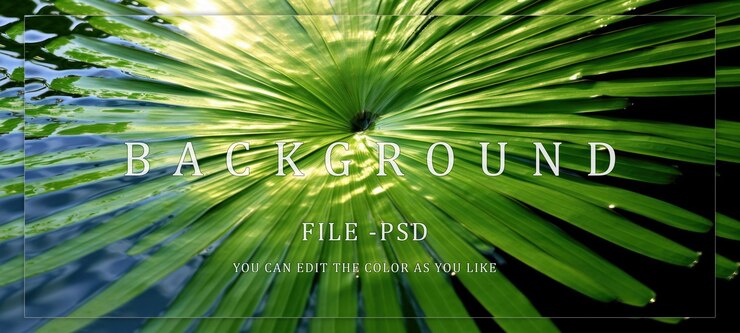 PSD 棕葉漂浮在水面上