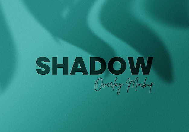 Palm leaves shadow overlay mockup