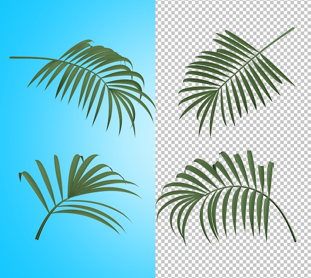 PSD palm leaves