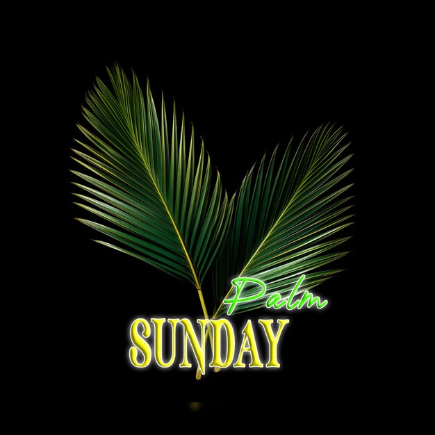 PSD palm sunday with cross jesus