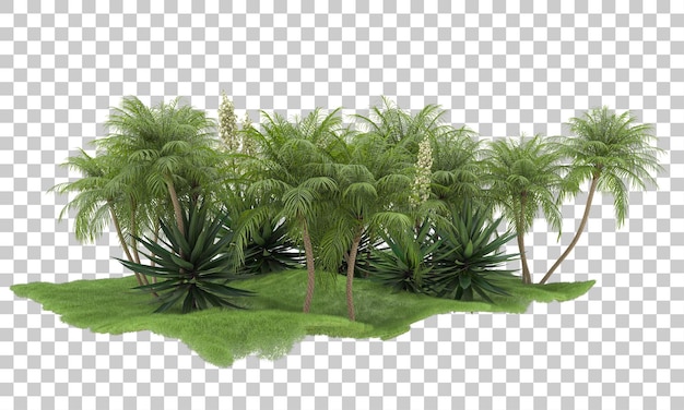 Foresta di palme su sfondo trasparente 3d rendering illustrazione