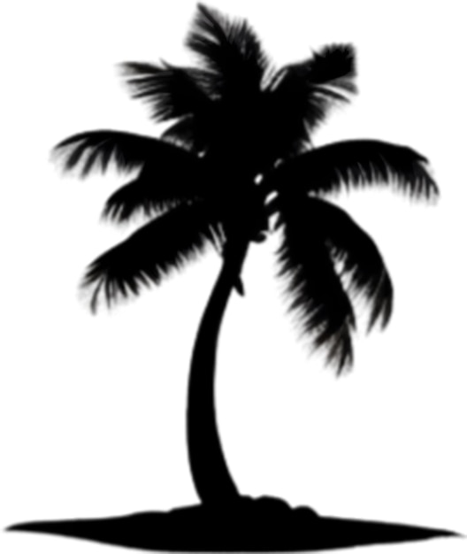 PSD palm tree on an island icon