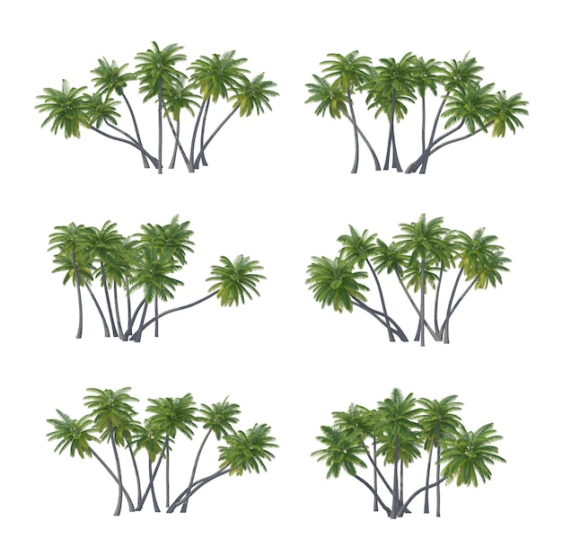 PSD palm tree set isolated transparent background