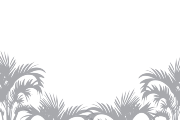 PSD palm tree shadows border isolated