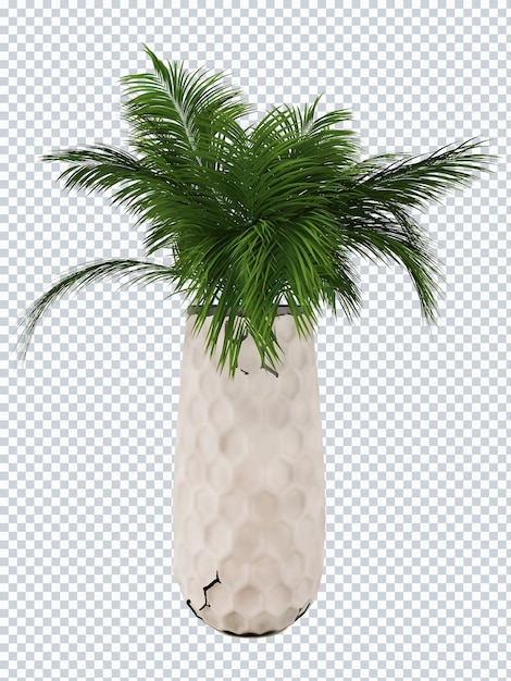 PSD a palm tree with a palm tree on a transparent background