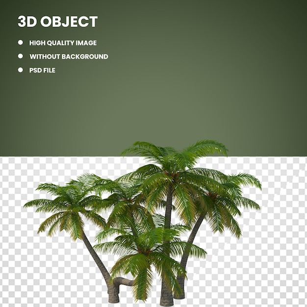 PSD palm tree